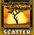 Safari Heat Spielautomat Scatter